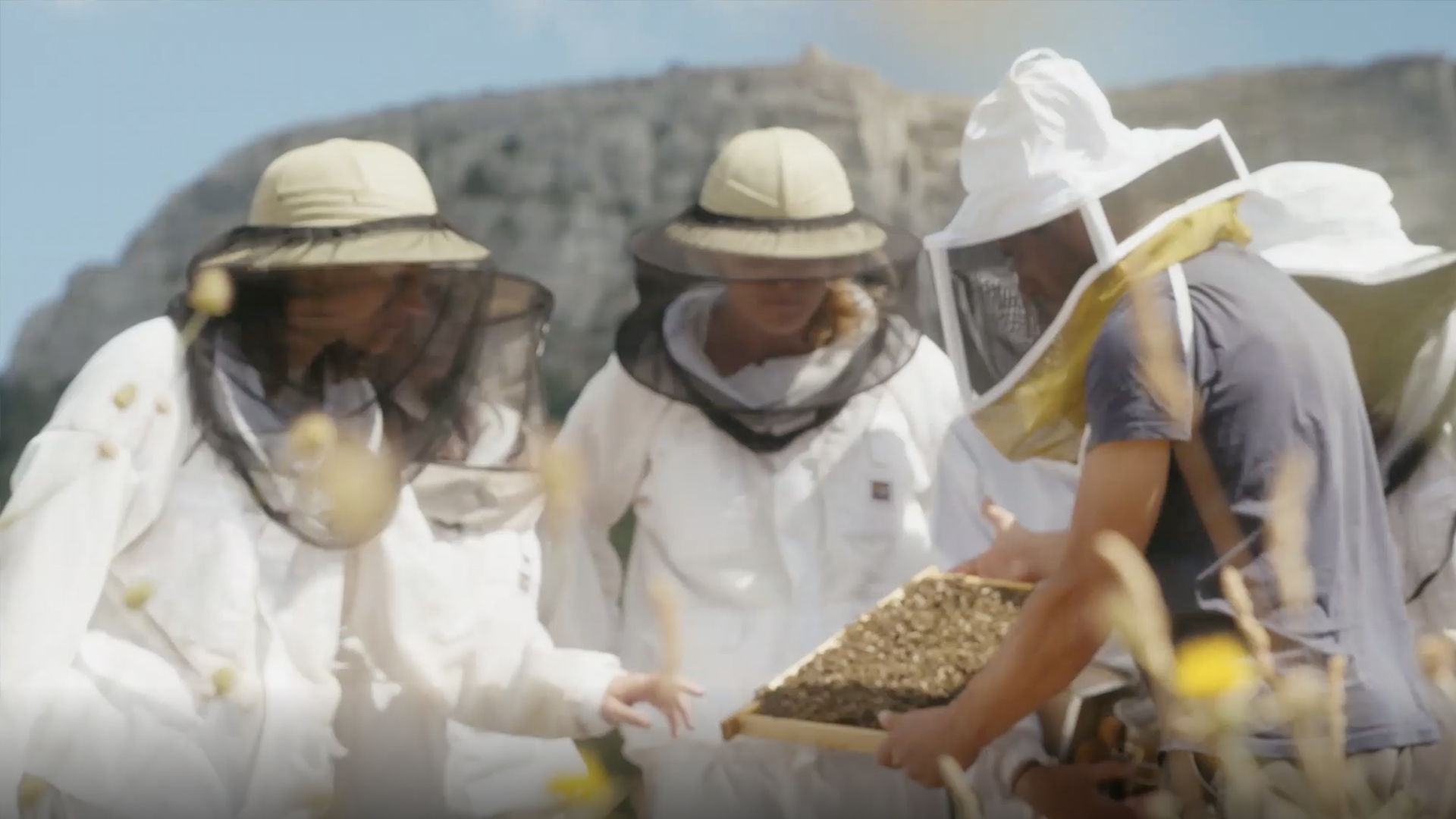 Women for bees